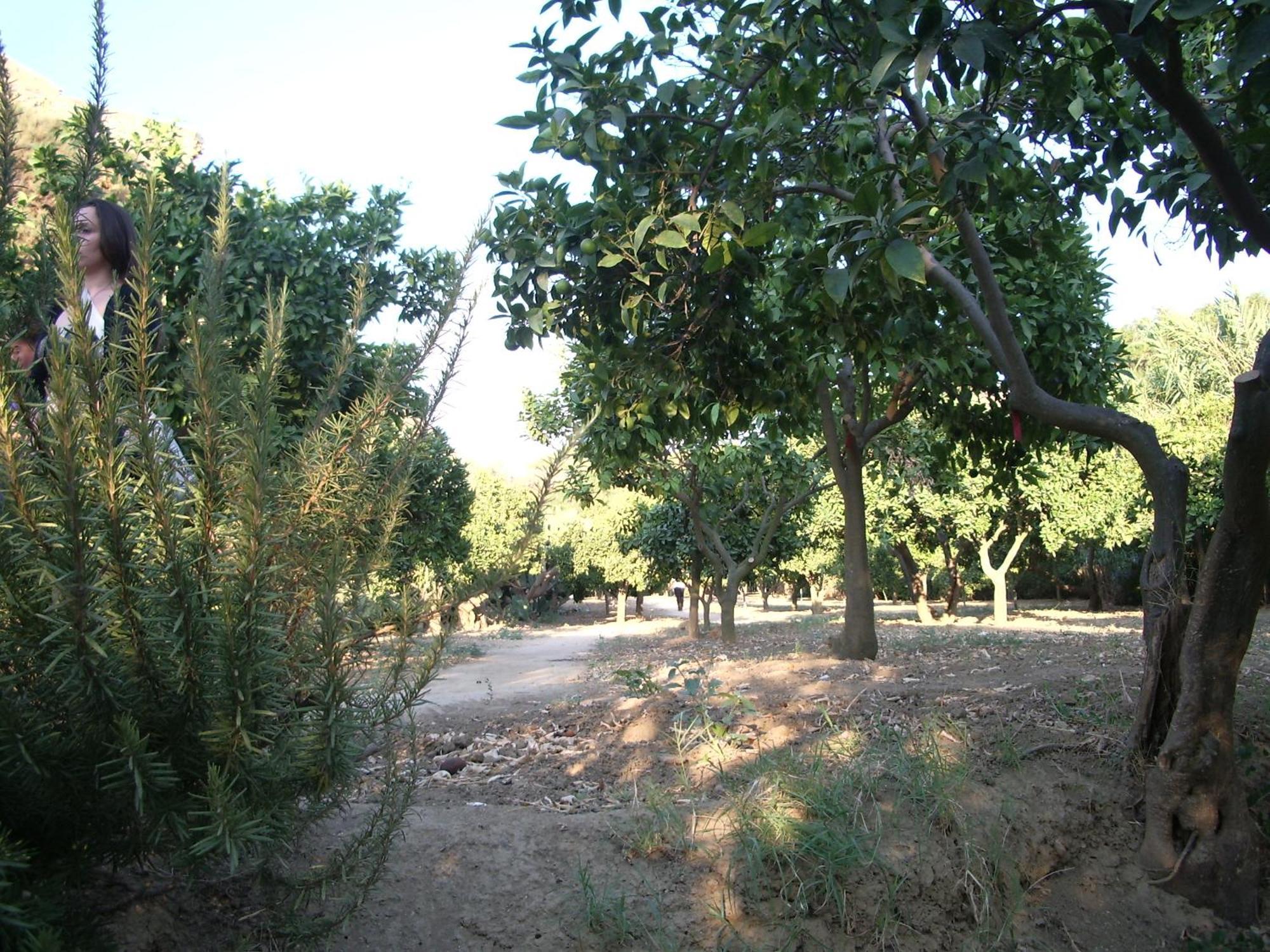 סן לאונה Villa Dei Giardini מראה חיצוני תמונה